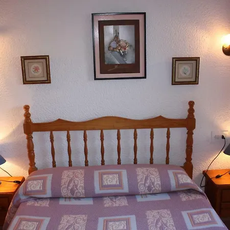 Oasis Park 德尼亚